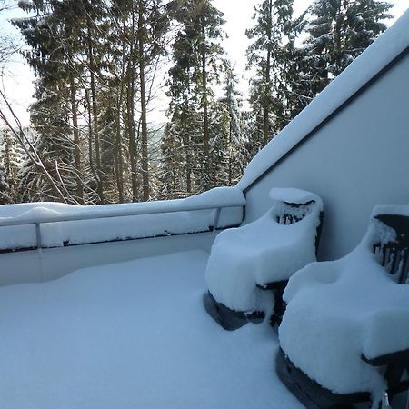 Terrassenhaus Winterberg Lägenhet Exteriör bild
