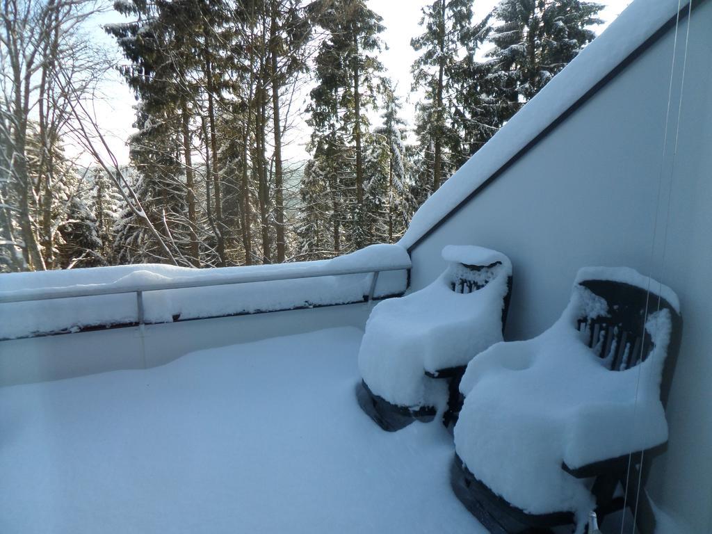 Terrassenhaus Winterberg Lägenhet Exteriör bild